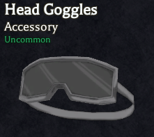Head Goggles