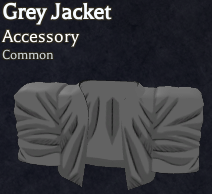 Grey Jacket